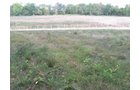 Property photo 16 - 80 Acres Offered in 4 Tracts - Horse Farm